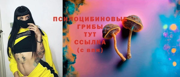 кокс Баксан