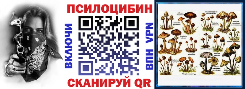 Псилоцибиновые грибы MAGIC MUSHROOMS  дарк нет наркотические препараты  Воскресенск 