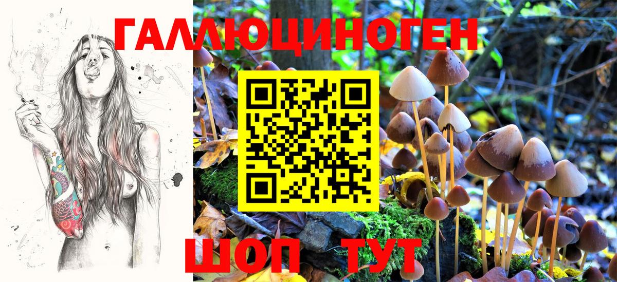 Псилоцибиновые грибы Magic Shrooms  Галлюциногенные грибы ЛСД  Воскресенск 